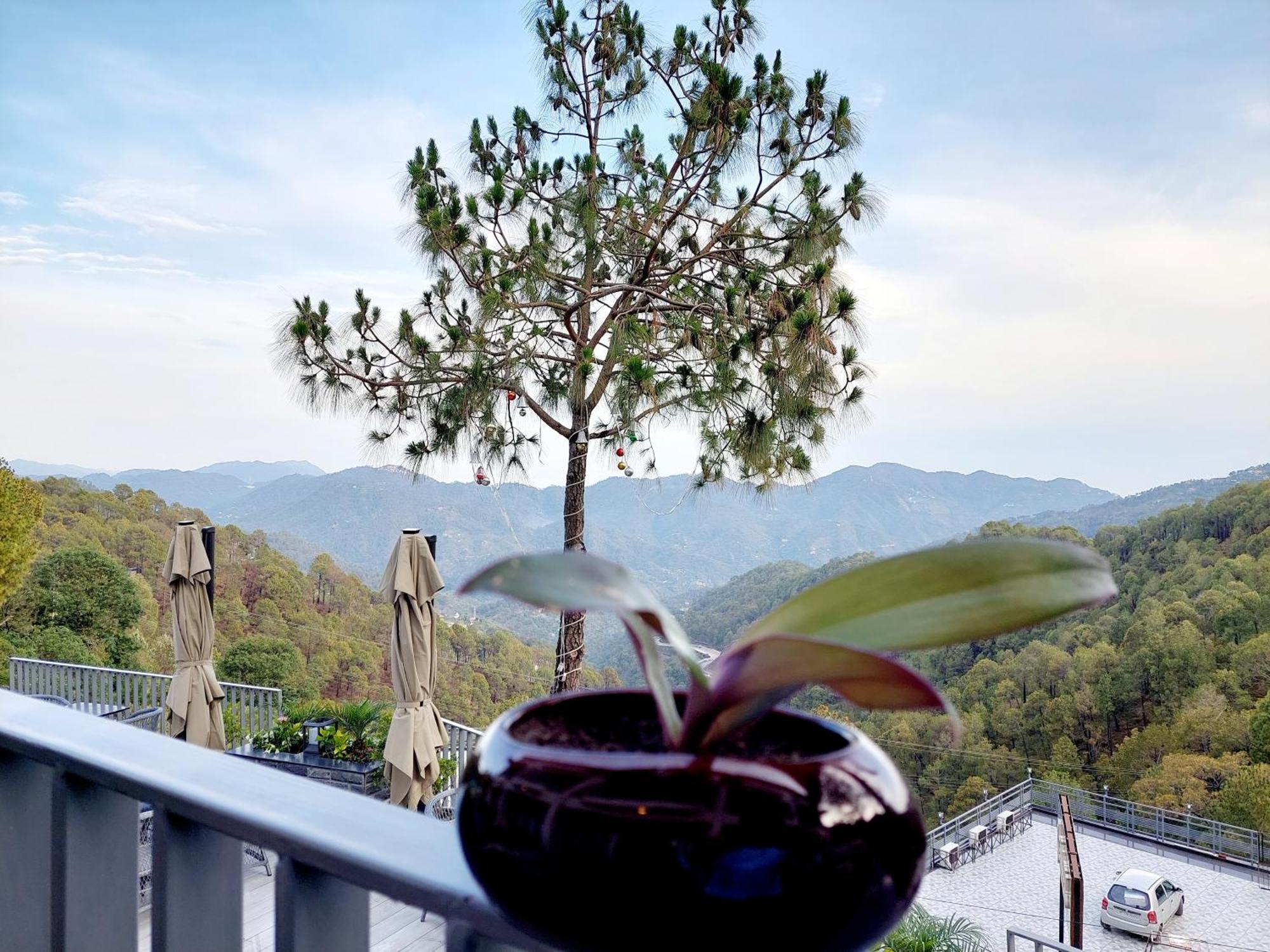 Oren Kasauli Hotel Exterior photo