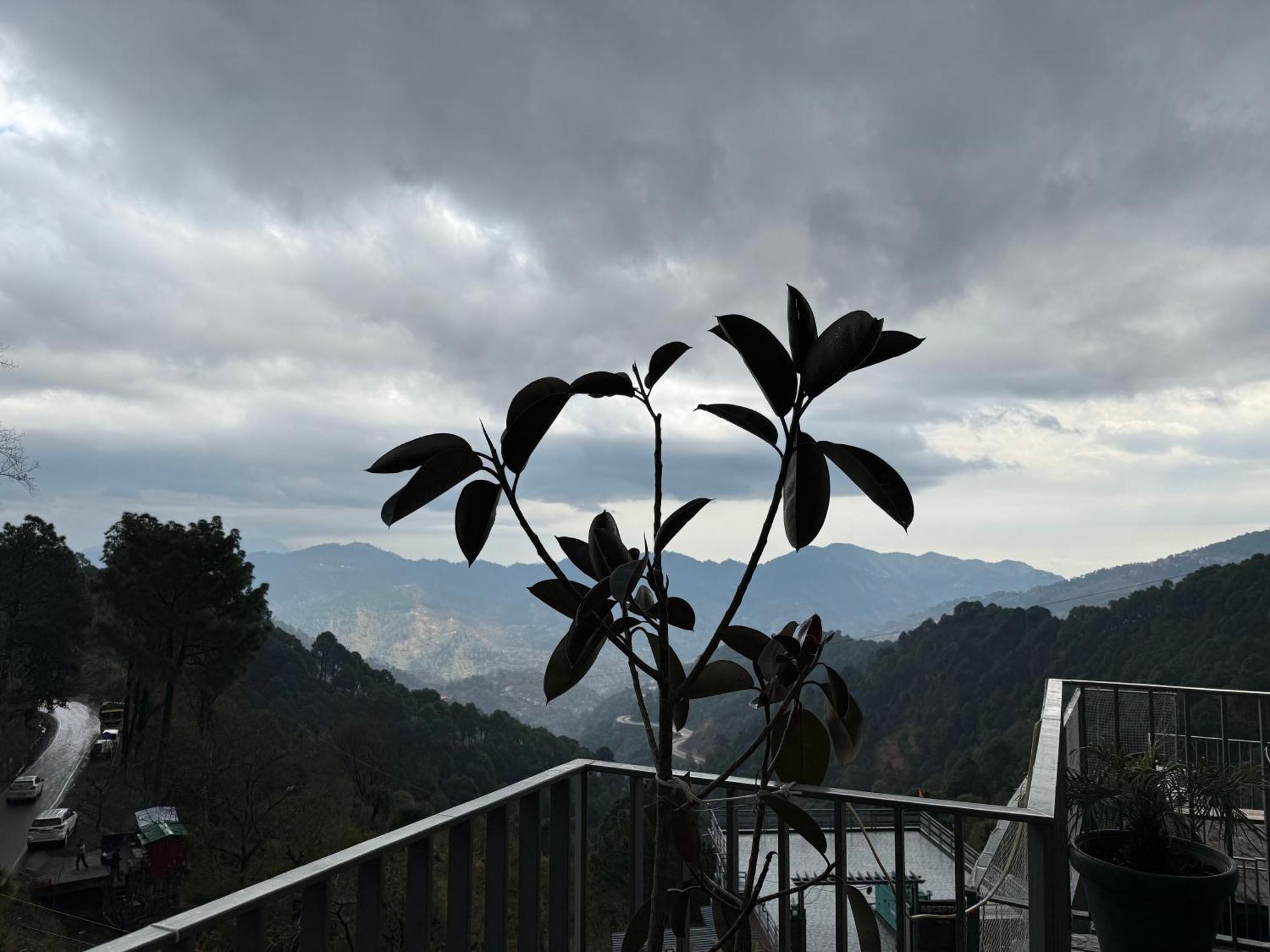 Oren Kasauli Hotel Exterior photo